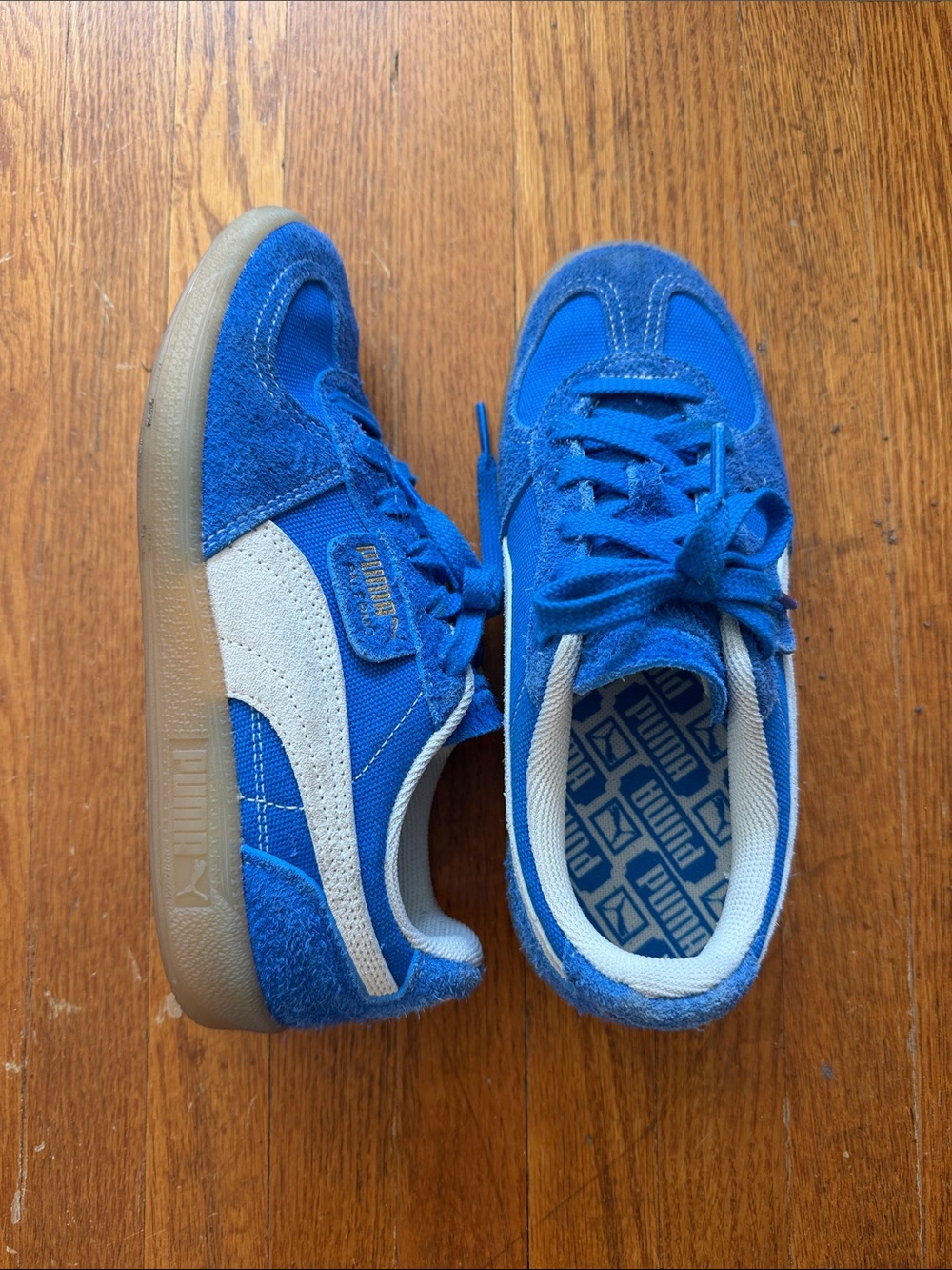 Puma Blue Suede & Mesh Women's Sneakers